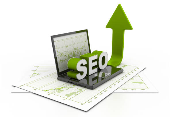 SEO Company in udaipur